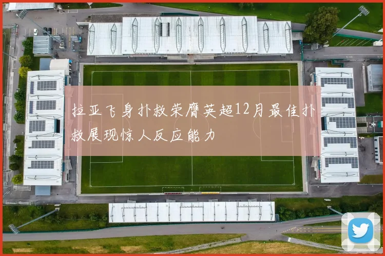 拉亚飞身扑救荣膺英超12月最佳扑救展现惊人反应能力
