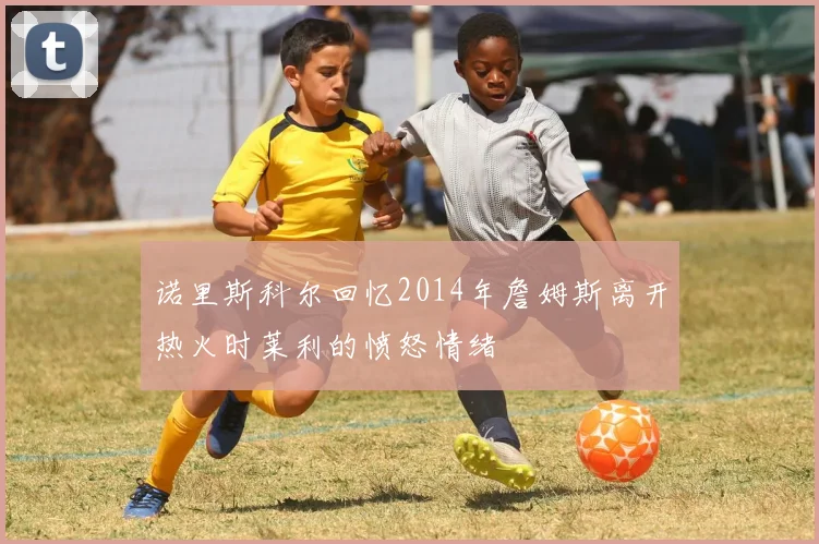 诺里斯科尔回忆2014年詹姆斯离开热火时莱利的愤怒情绪
